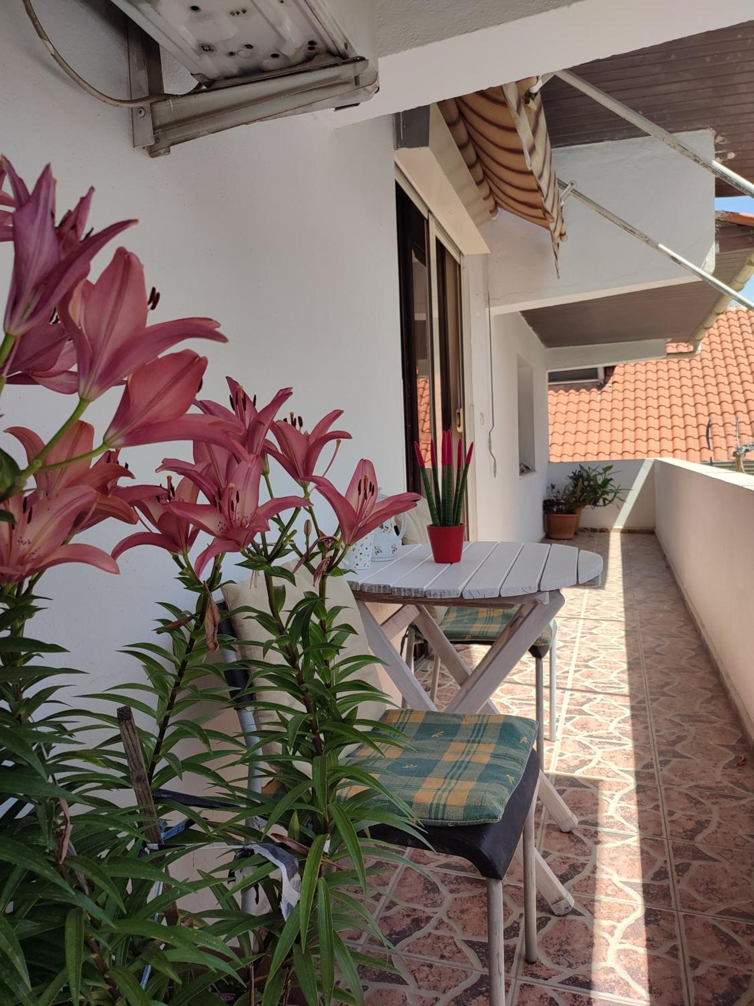 Rooms Xani Tiranë Ngoại thất bức ảnh
